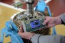 Система лазерной центровки «TECHLASER «AXIS»